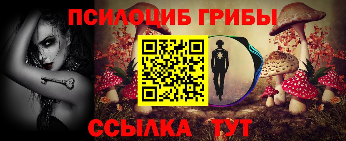 Галлюциногенные грибы мицелий Великий Новгород