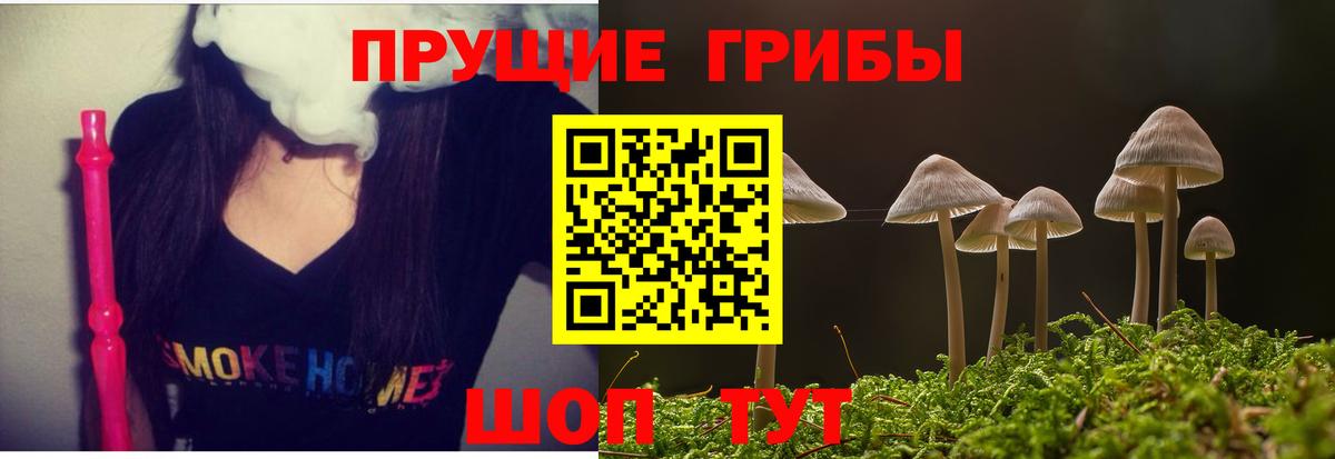 хочу   Галлюциногенные грибы Psilocybe  Вход с VPN  Великий Новгород 